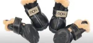 How to Measure Dog Feet for Boots: A Step-by-Step Guide
